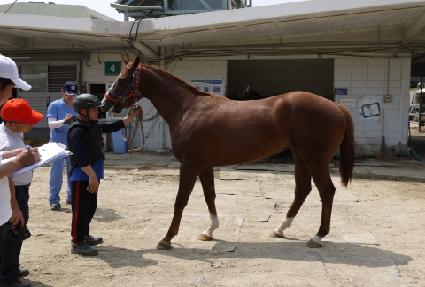 ����Ʈ�帲 ����