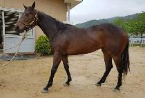 ���̵�� (QUEEN MEDIA) ����