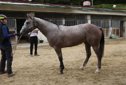 �ν����� ����