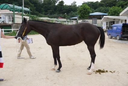 ���������� ����