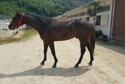 ��ī������� ����