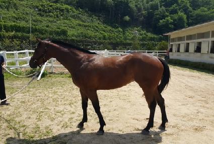 ���Ǹ���� ����