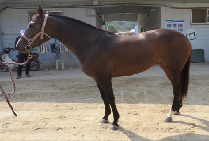 �ҹ������� ����