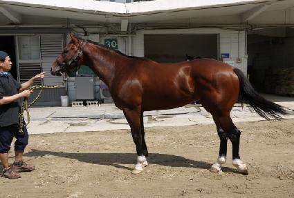 �������� ����