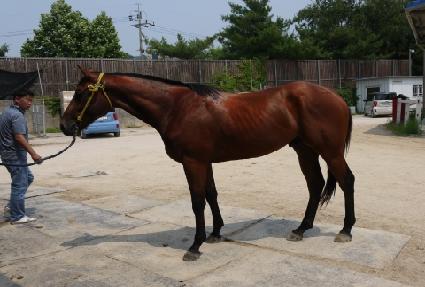 ���ø�Ʈŷ ����