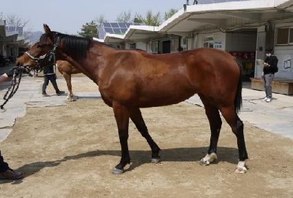 �ޱ����߾� ����