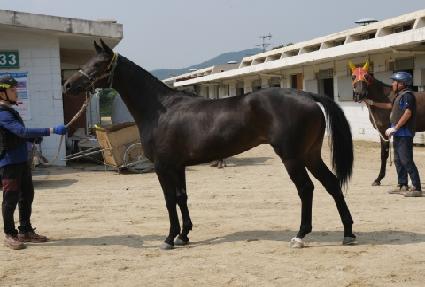 ��ü��ť ����