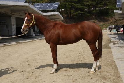 ���̳κ��� ����