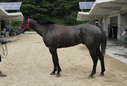 ��ǳ ����