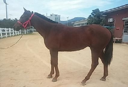 ������Ǯ ����