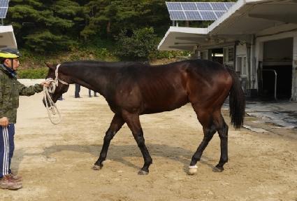 �̷���� ����