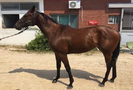 ���۸��� ����