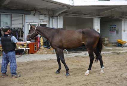 ���帮������ ����