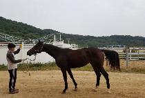 �ð� (ALL GA) ����