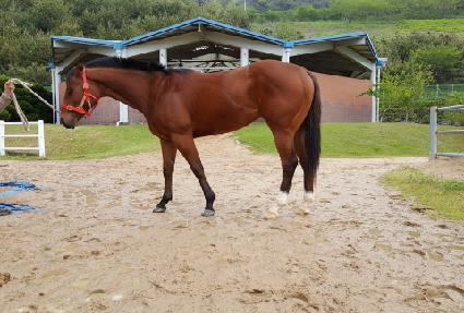 ���� ����