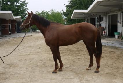 �������� ����