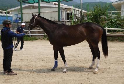 ��������Ŷ ����