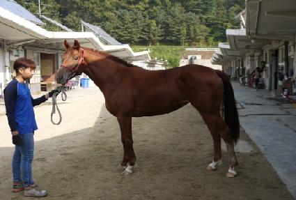 �ε鷹���� ����