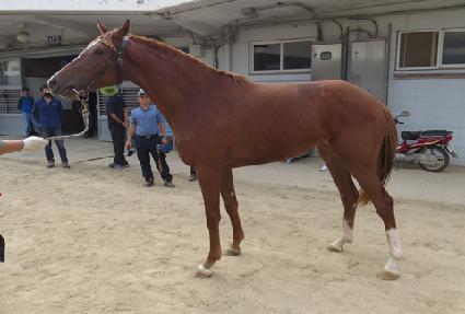 �ִϿ��� ����