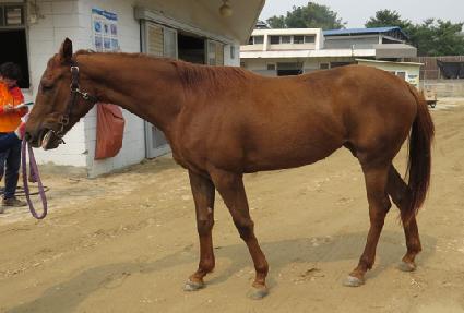 �ο���Ƽ�� ����