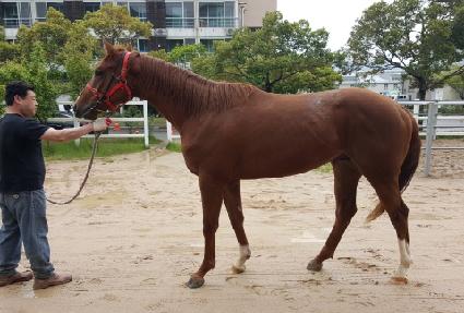 ��������Ʈ�� ����