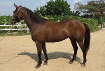 ���̳���ġ (FINAL TOUCH) ����