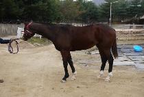 �����ٶ� (MYEONGWON BARAM) ����