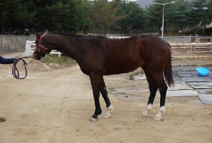 �����ٶ� ����