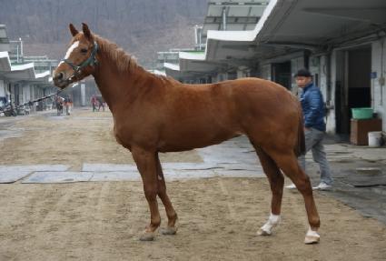 õ�� ����