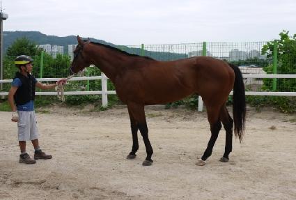 ��Ÿ�ź� ����