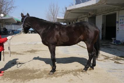 ��Ʋ�� ����