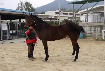 �ƶ��ư��� ����