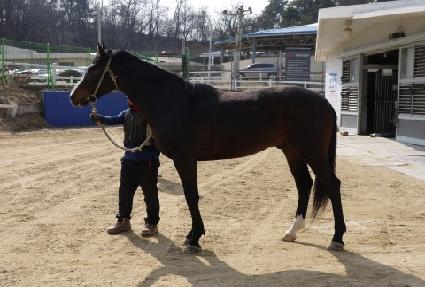 ��õ���Լ� ����