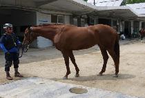 ����ö�� (EUNHA CHELMA) ����