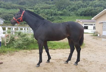 ���跩ŷ ����