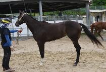 �ں��� (JABIDONGHAENG) ����