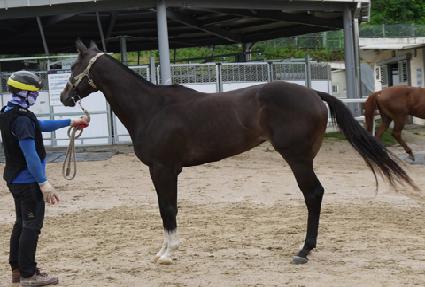 �ں��� ����