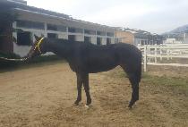 ������ (TWO TWO QUEEN) ����