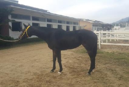 ������ ����