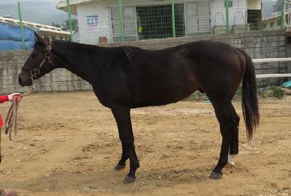 ��Ű���� ����