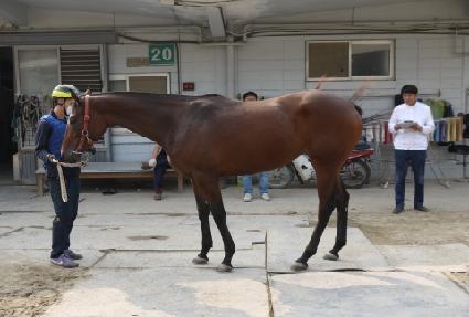 ���̺��� ����