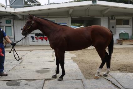 ��Ÿ���� ����