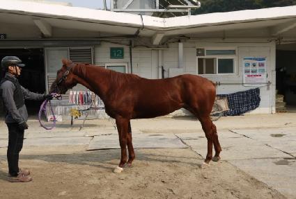 ������Ʈ ����