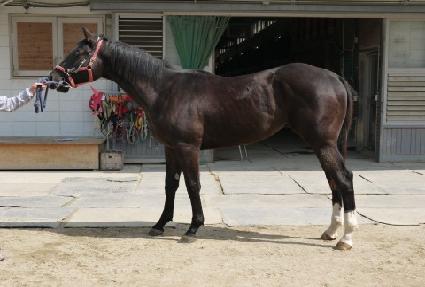 ������̺� ����