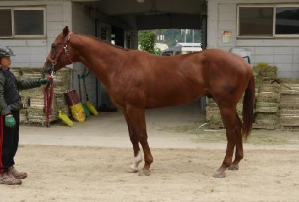 ���̽�ī�� ����