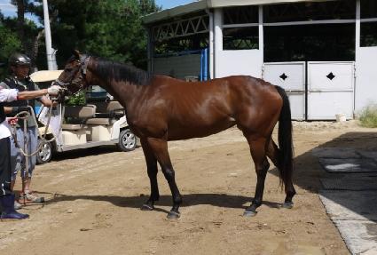 ������м� ����