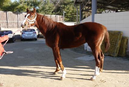 �ٶ����� ����