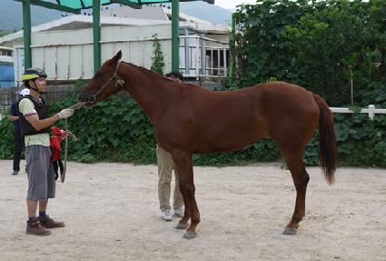 ��Ŀ�۷θ� ����