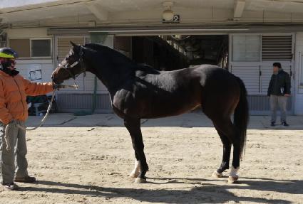 ������ ����