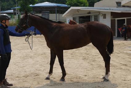 ���ڰ��� ����